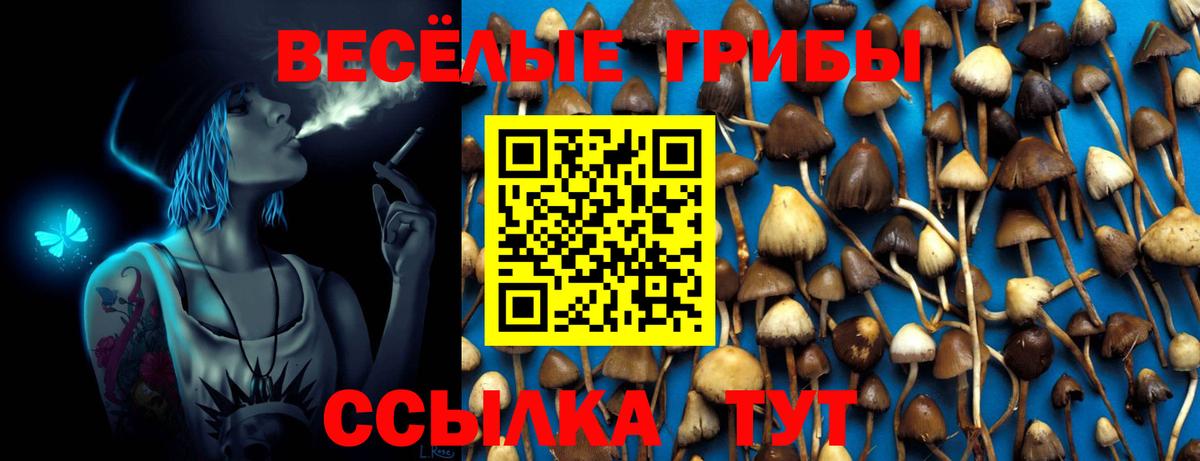 Пенза  где купить   Вход с VPN  Галлюциногенные грибы Cubensis  Галлюциногенные грибы Psilocybe 